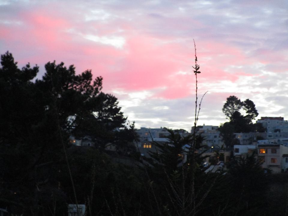 46772810_10217557705680807_7838694878639816704_n