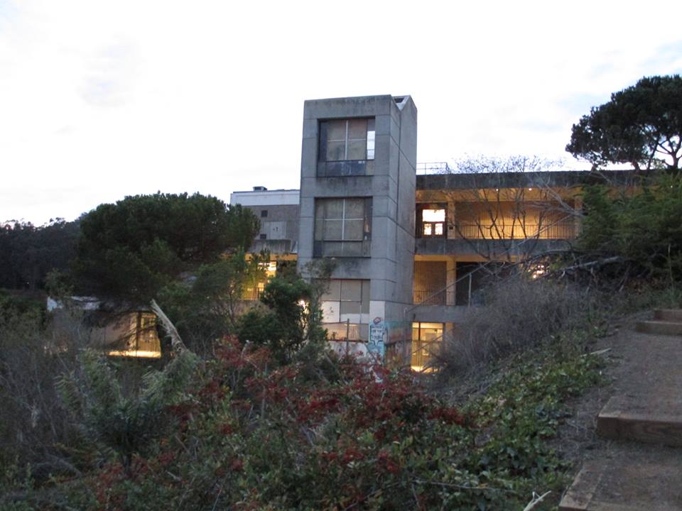 46787273_10217557704760784_5804461259013226496_n