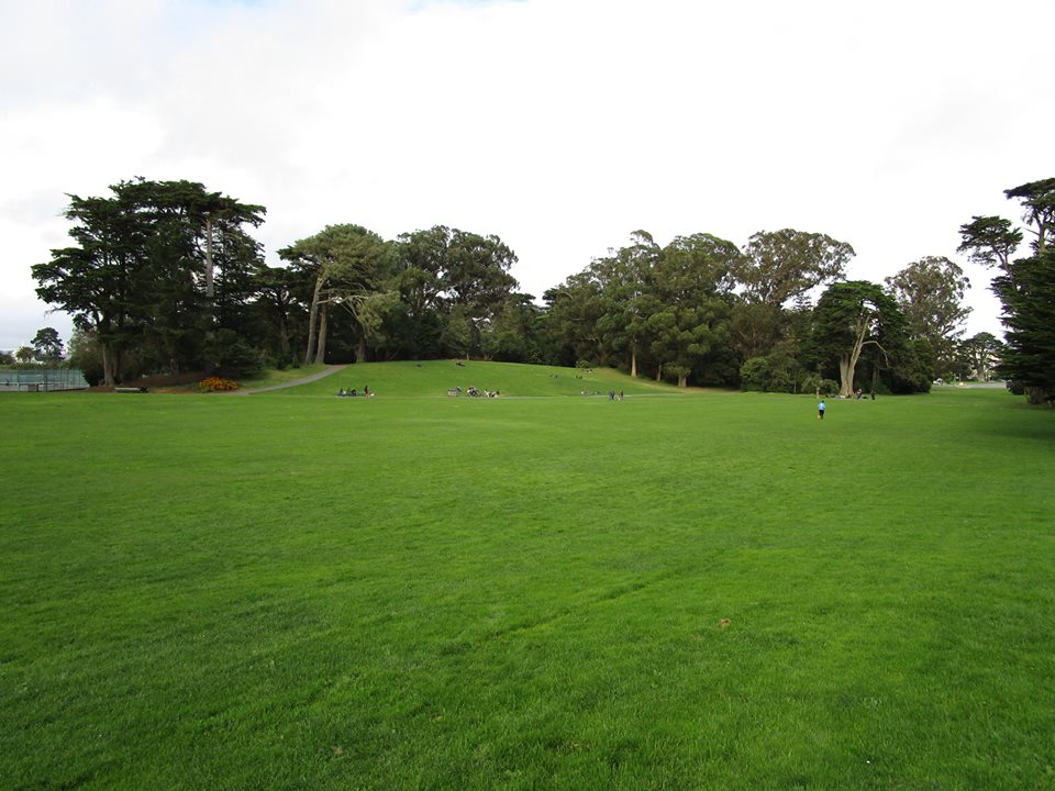 46814559_10217557746321823_2988510086474760192_n