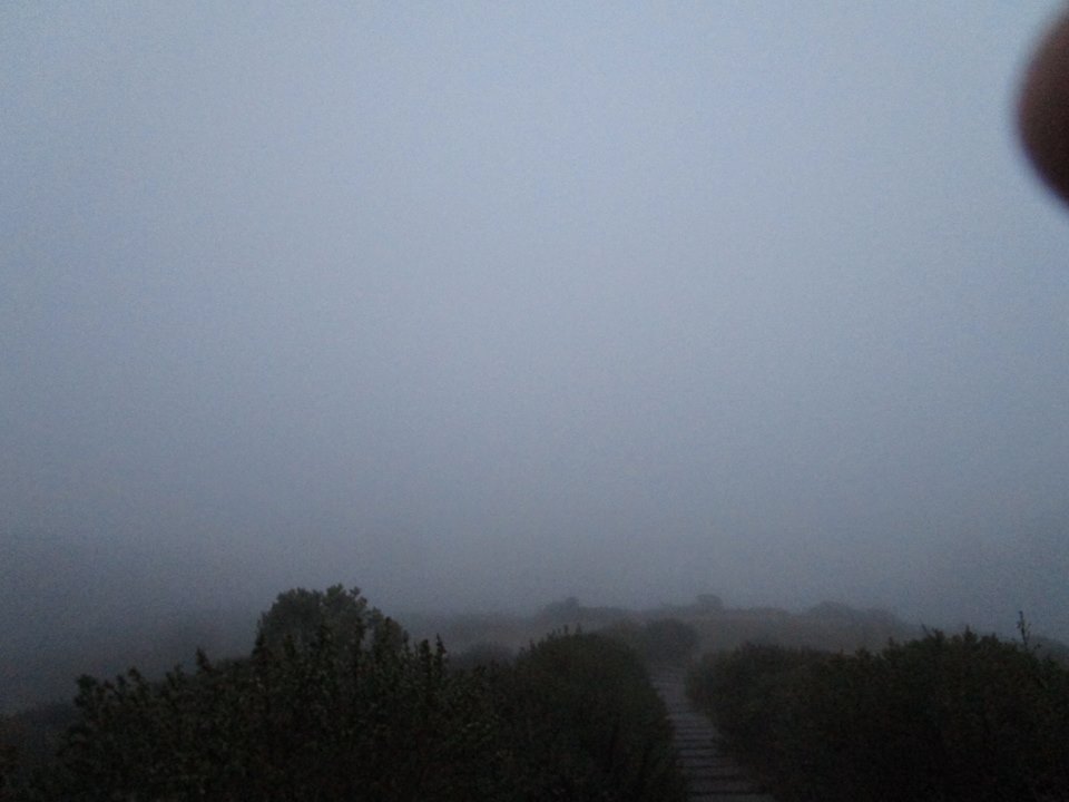 46836841_10217557736321573_940925964735479808_n