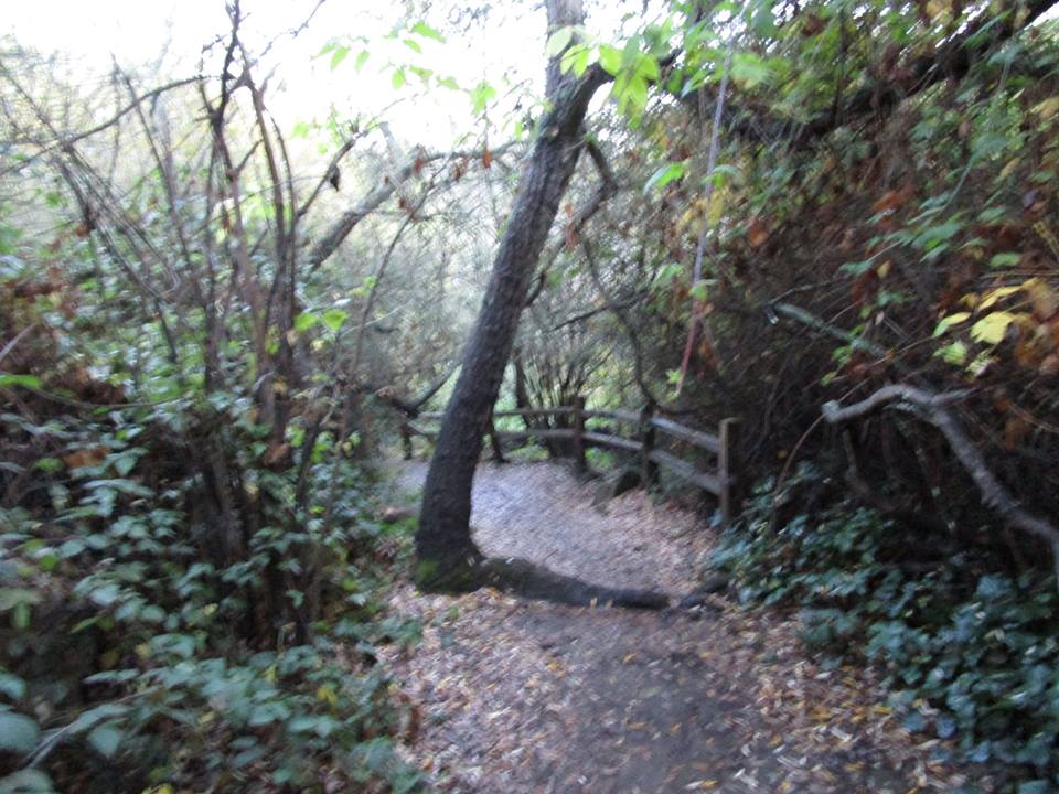 46874895_10217557726081317_6141034837860941824_n