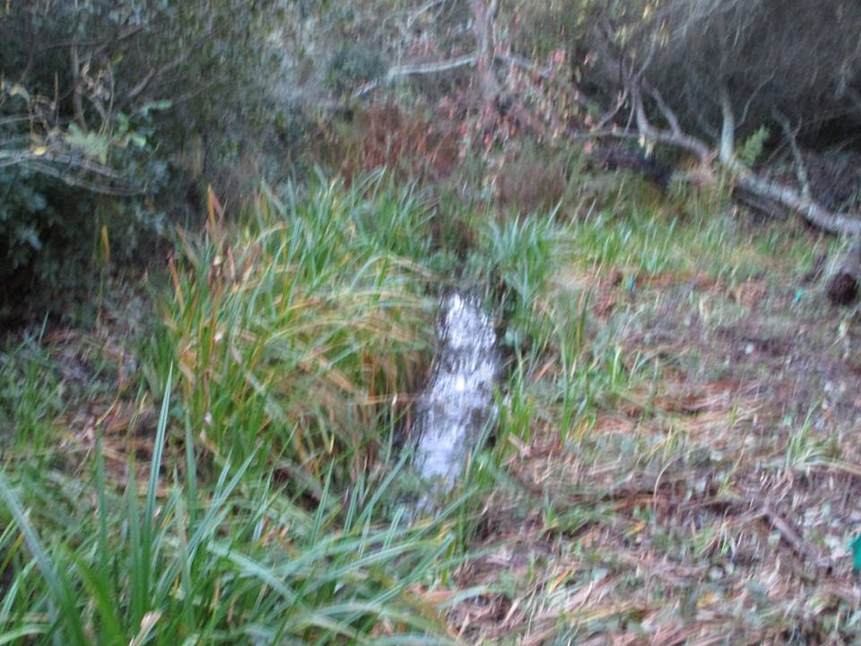 47261138_10217597015983540_3463730324943405056_n