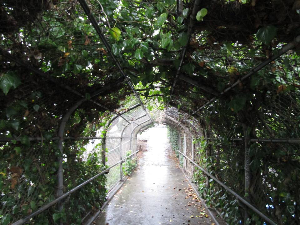 47273908_10217597037144069_1700048721200283648_n