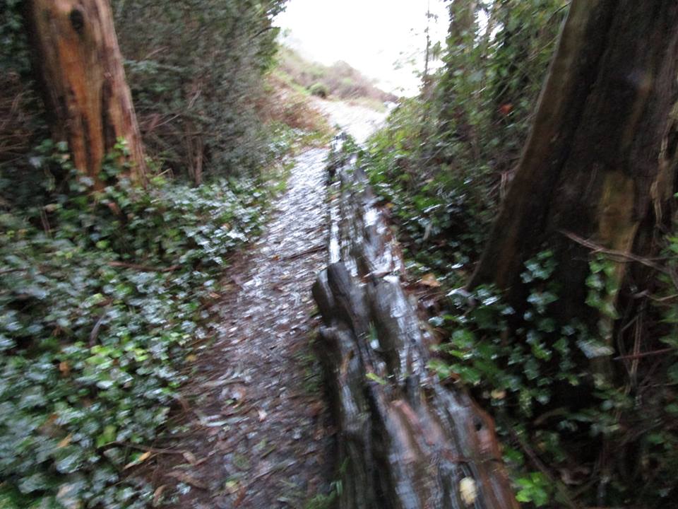 47358319_10217597027823836_9171262800675209216_n