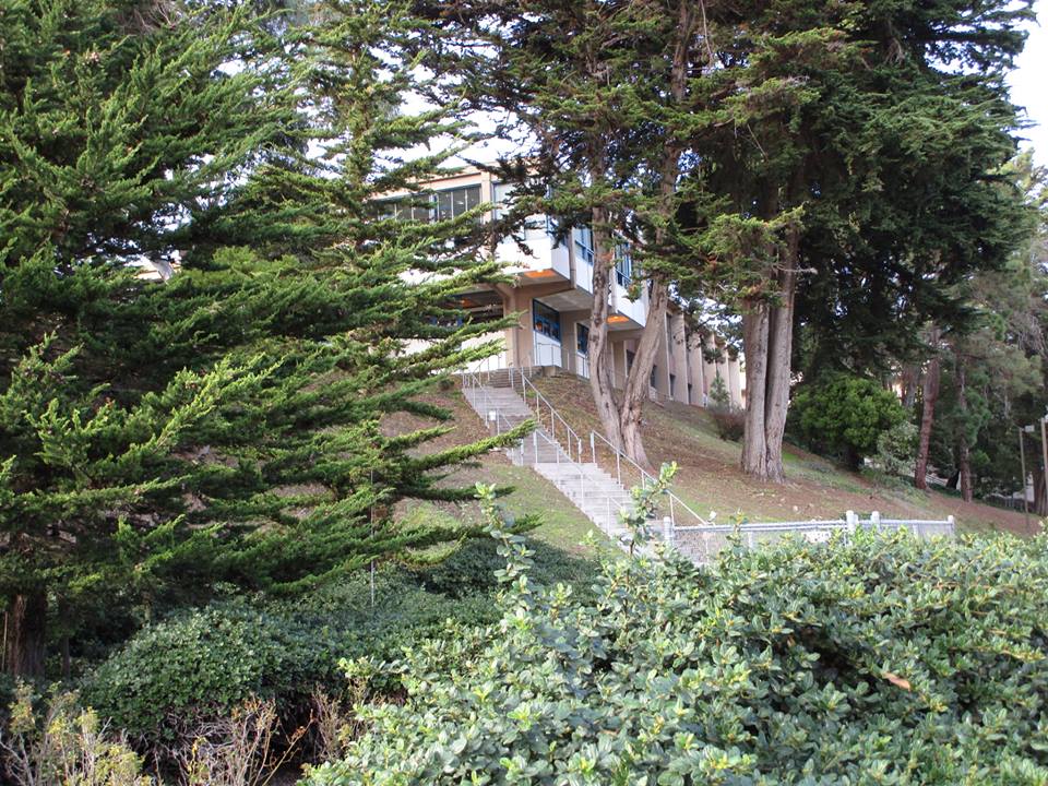 48314134_10217653157307038_2636232470810329088_n