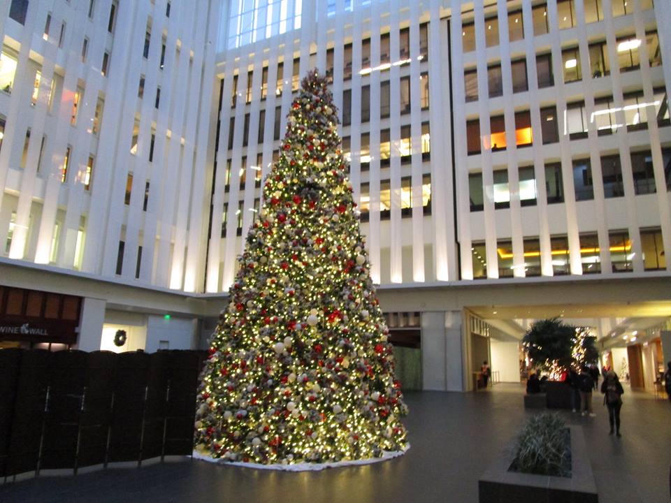 48358405_10217653121626146_9091222090794663936_n