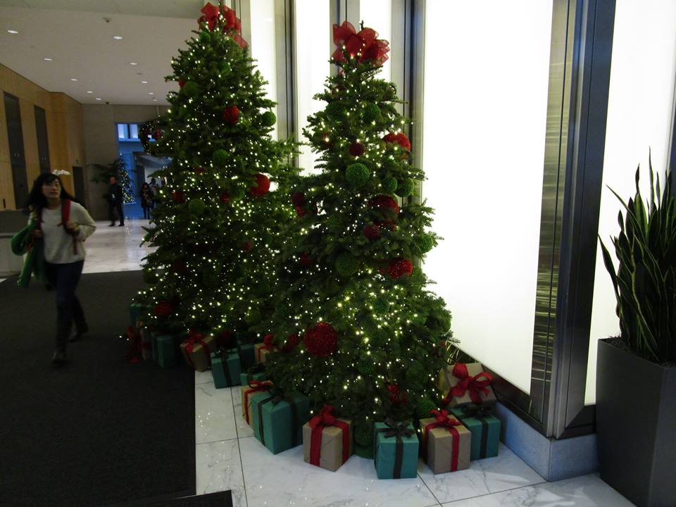 48362683_10217714785327700_4409178619658633216_n