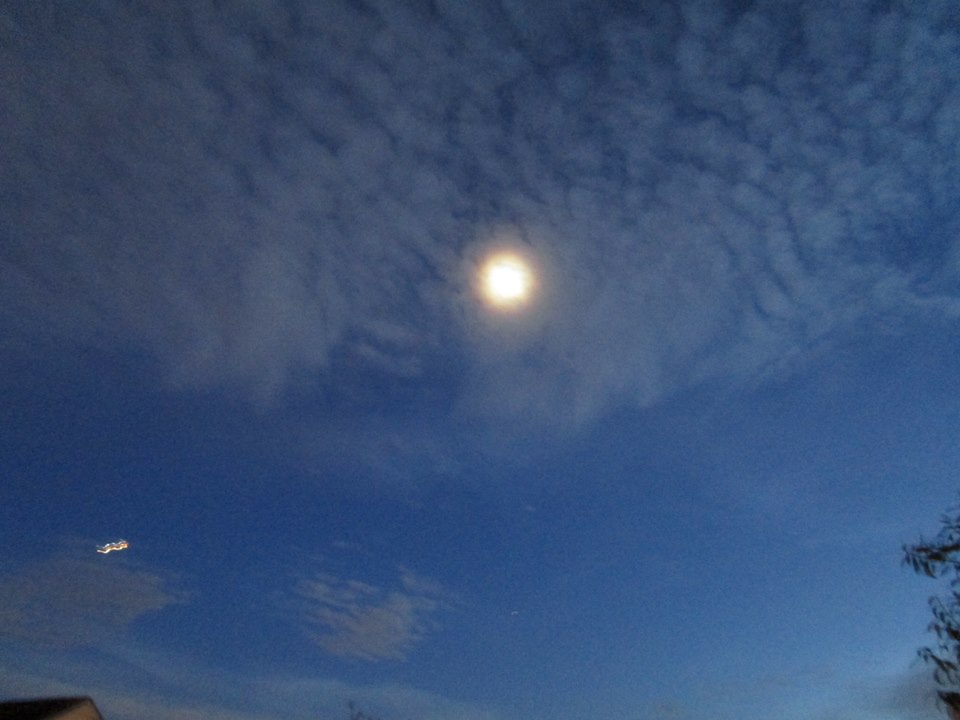 48369561_10217714777007492_8419924053959114752_n