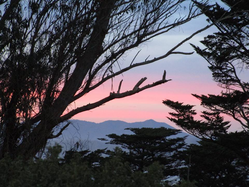 48370488_10217714787127745_7028798539220123648_n