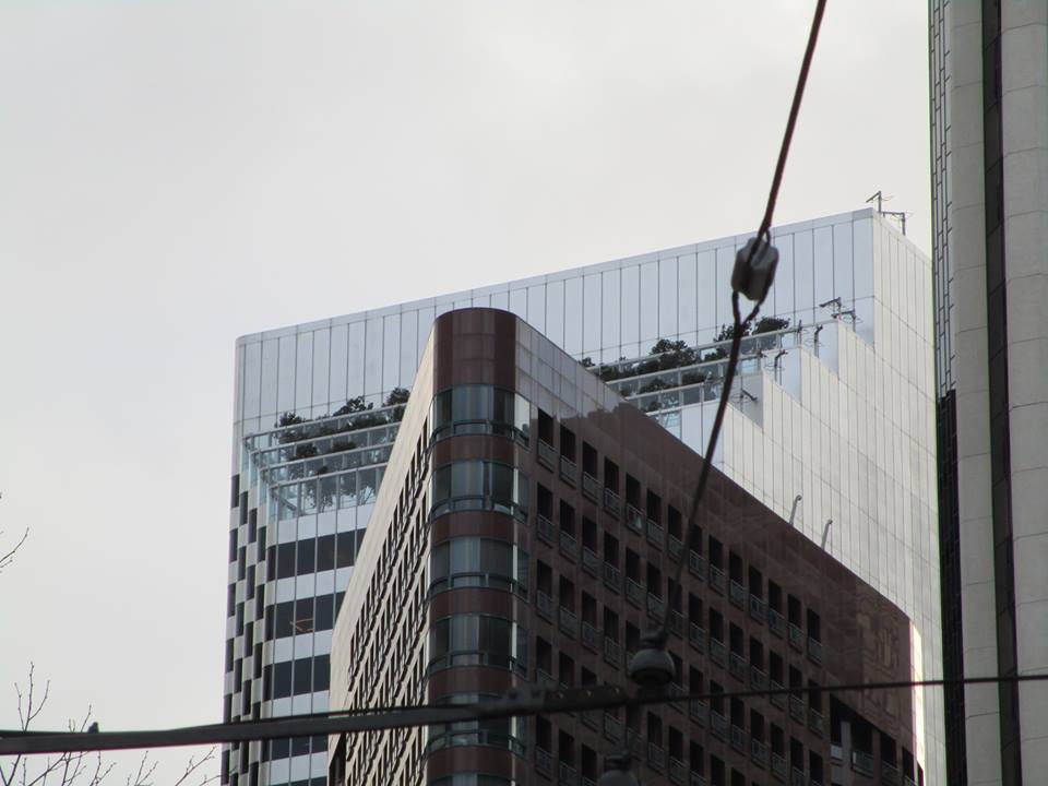 48380830_10217754323596132_6226419487785091072_n