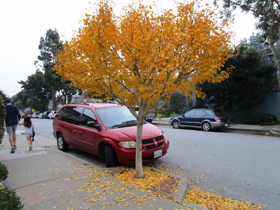 48388067_10217754308075744_5596972050368430080_n