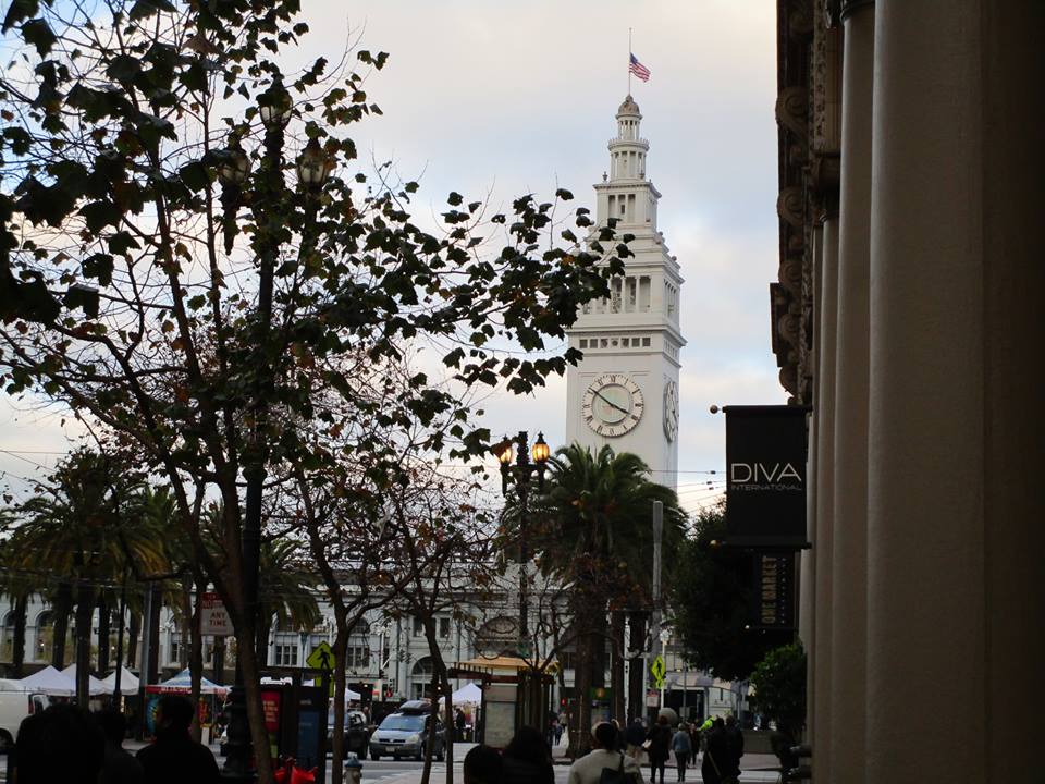 48403339_10217754324236148_2747686734702575616_n