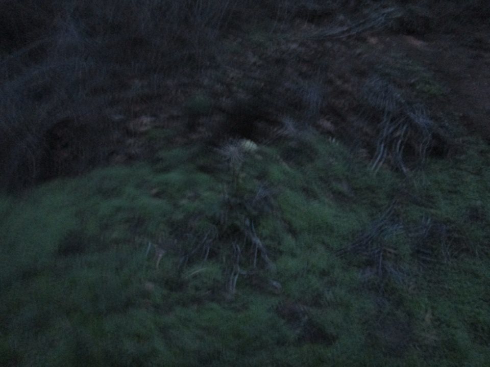 48403460_10217754307195722_865147065003409408_n