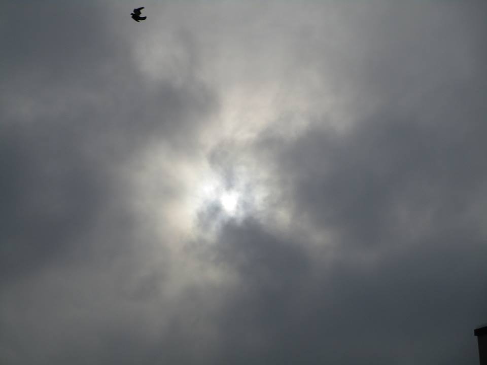 48406126_10217754317075969_4313173606533169152_n