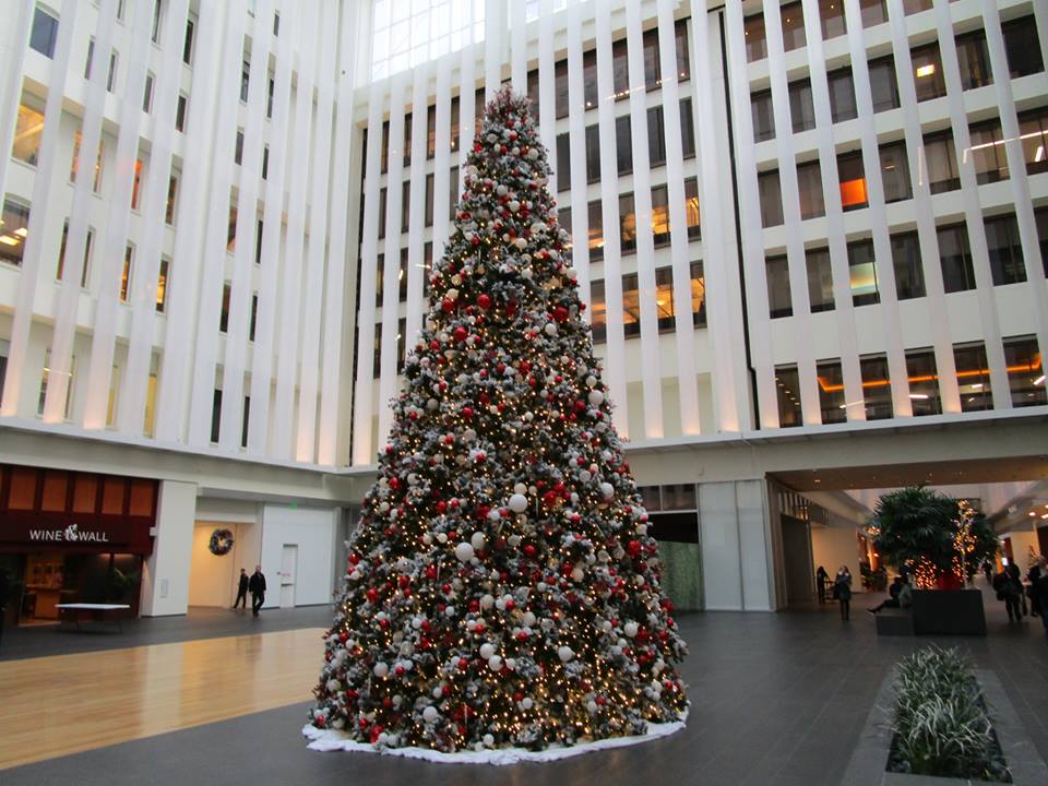 48407920_10217754326796212_705757487164293120_n