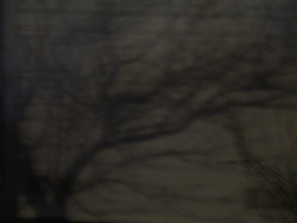 48408816_10217754306835713_3950813160004386816_n