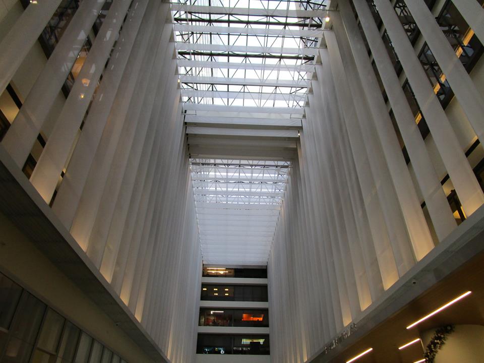 48415821_10217754328676259_3628230617512017920_n