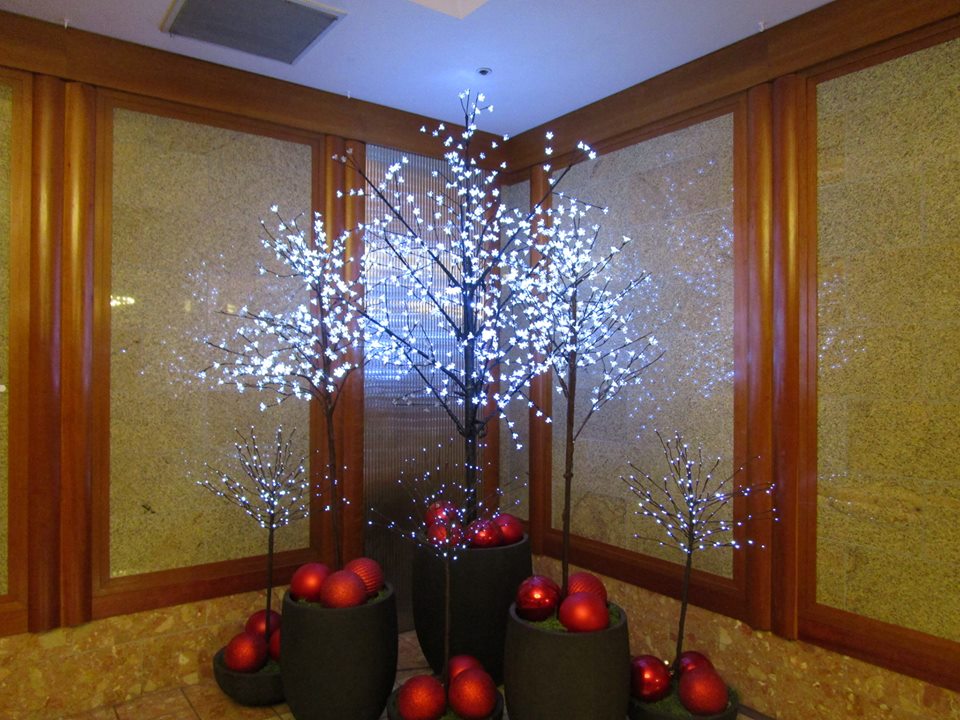 48415985_10217714786007717_893492517717147648_n