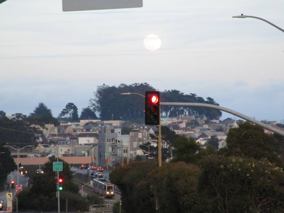 48416062_10217754302635608_4075972454084771840_n