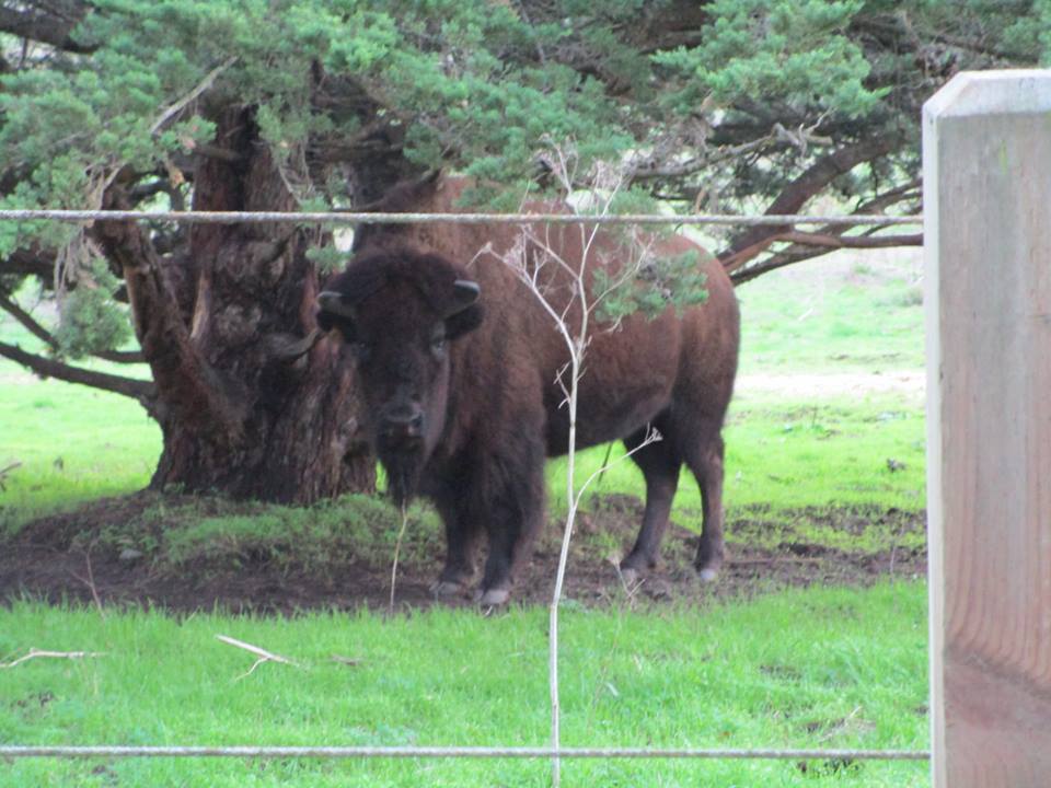 48420215_10217754330556306_7787824929503707136_n