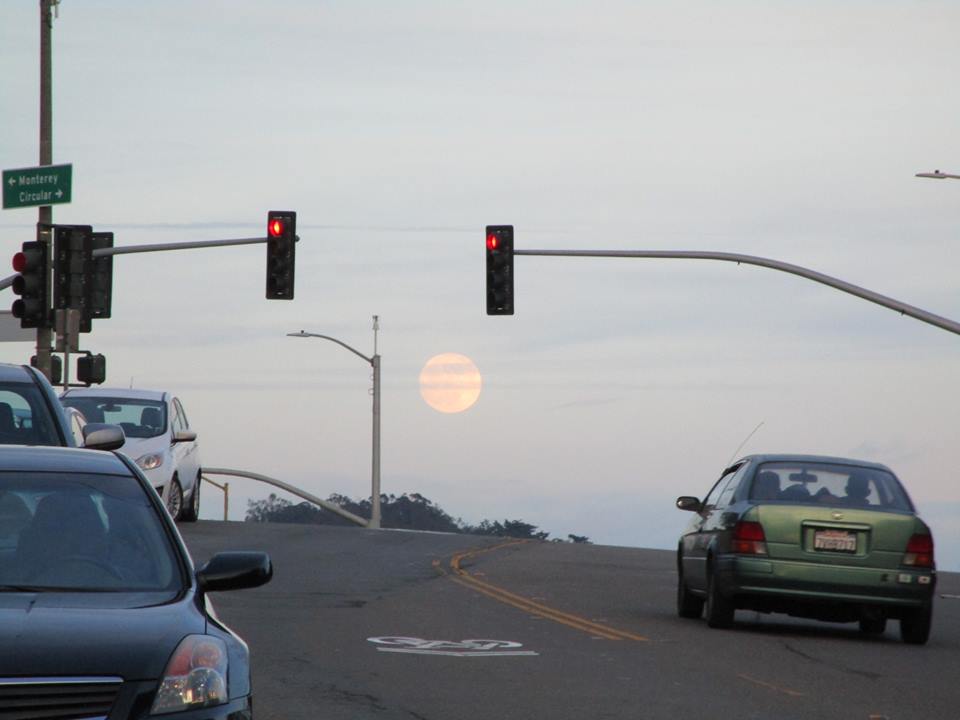 48430345_10217754304515655_8111096633858457600_n