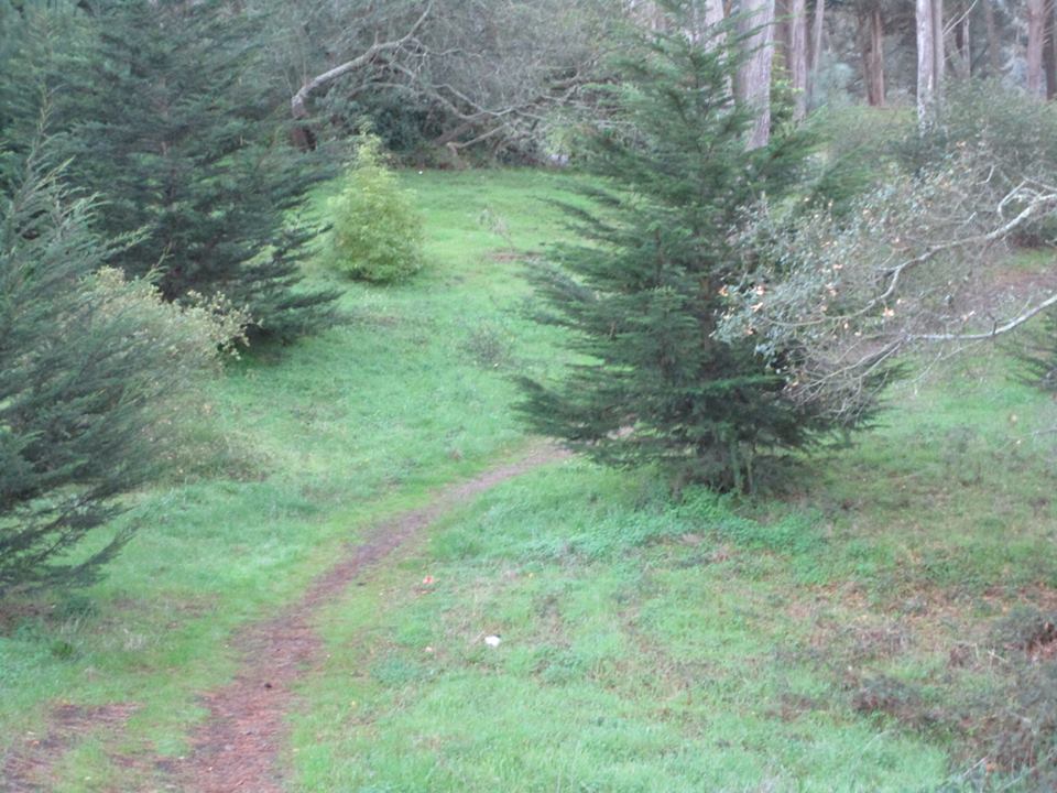 48902242_10217754331116320_9182061267580354560_n