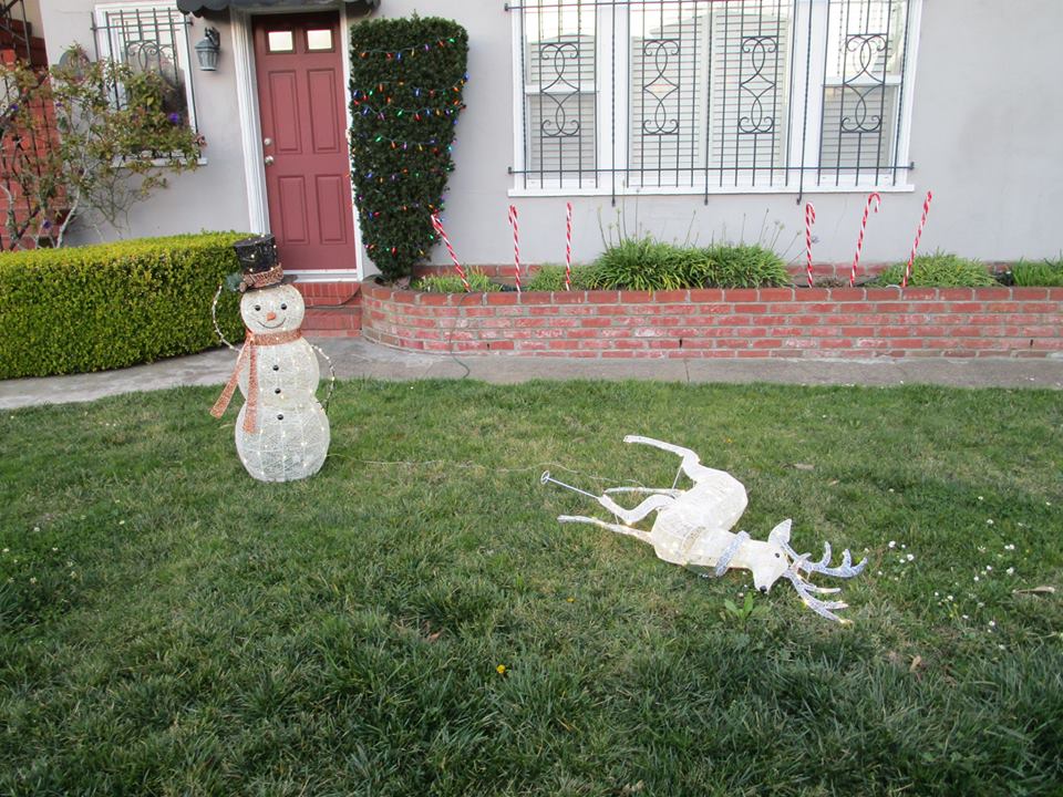 49043485_10217799042794084_8919013220987961344_n