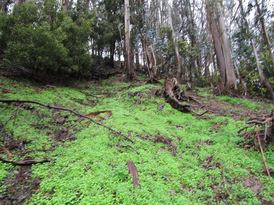 49256451_10217991428803614_1226547277103890432_n