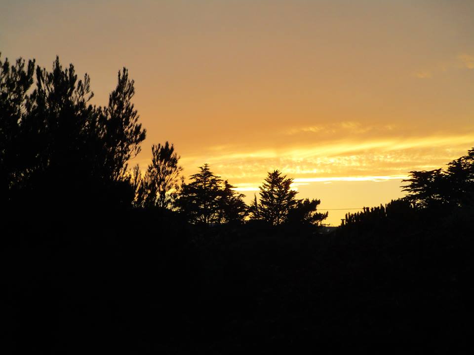 49348479_10217888458469420_3249299594449780736_n