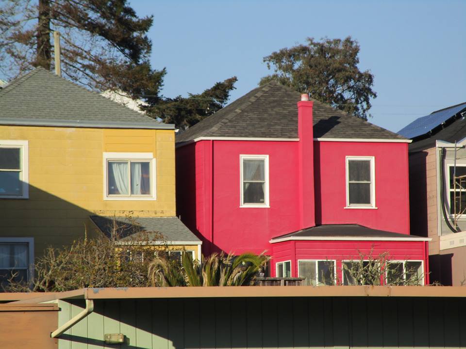 49509469_10217888460709476_6556379753299836928_n