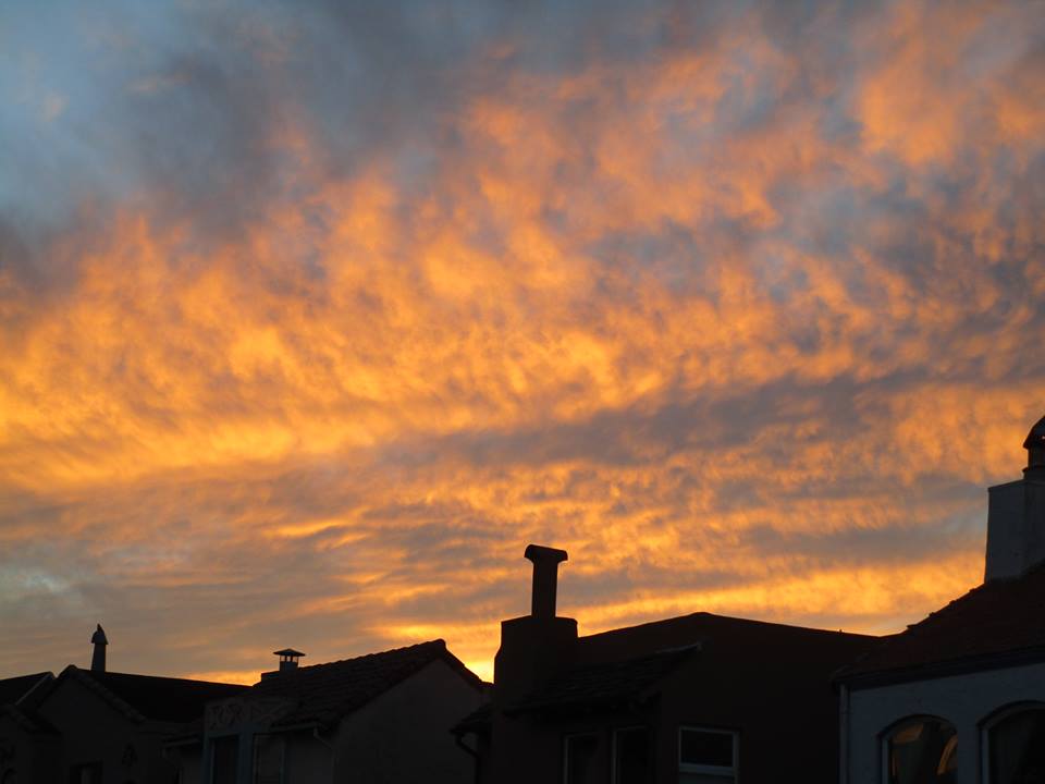 49549309_10217888454429319_8749858257612308480_n