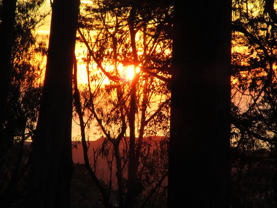 49605334_10217888466629624_5351295969667317760_n