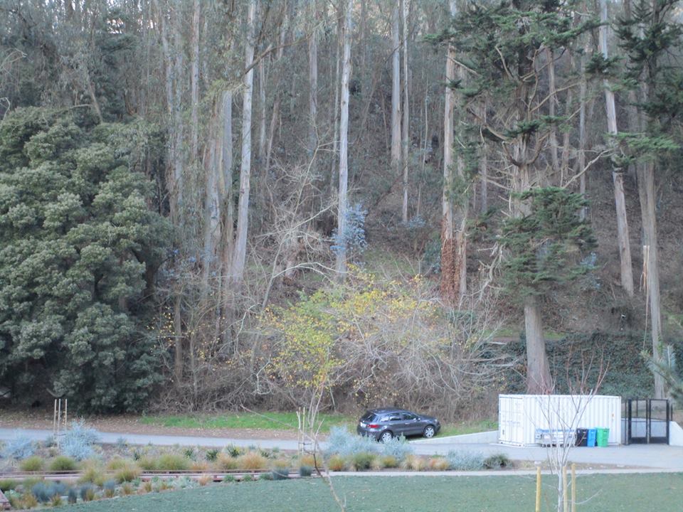 49608219_10217888459869455_7661714626584772608_n