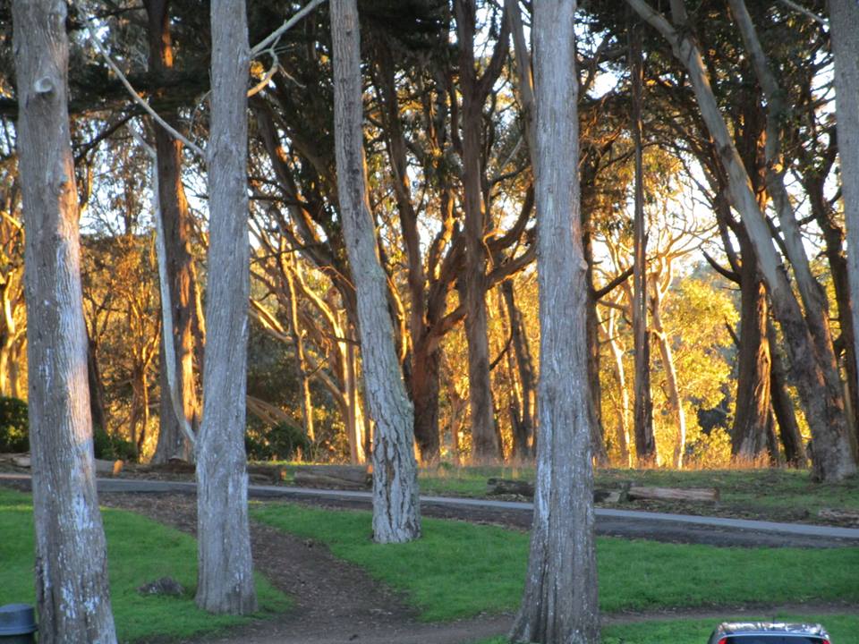 49635182_10217888549031684_7139161288713699328_n