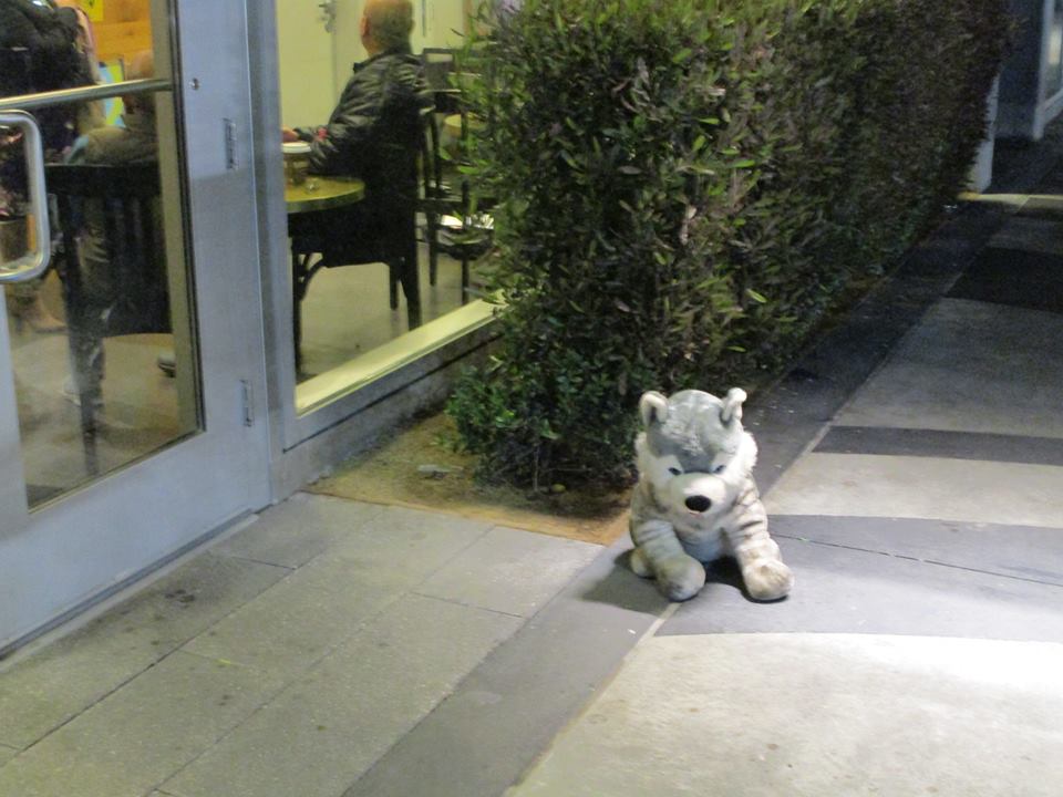 49662924_10217888452949282_974685202250989568_n