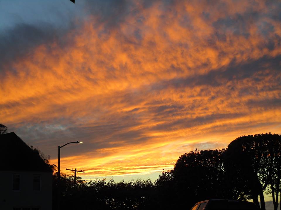 49707205_10217888453549297_6953665572504600576_n