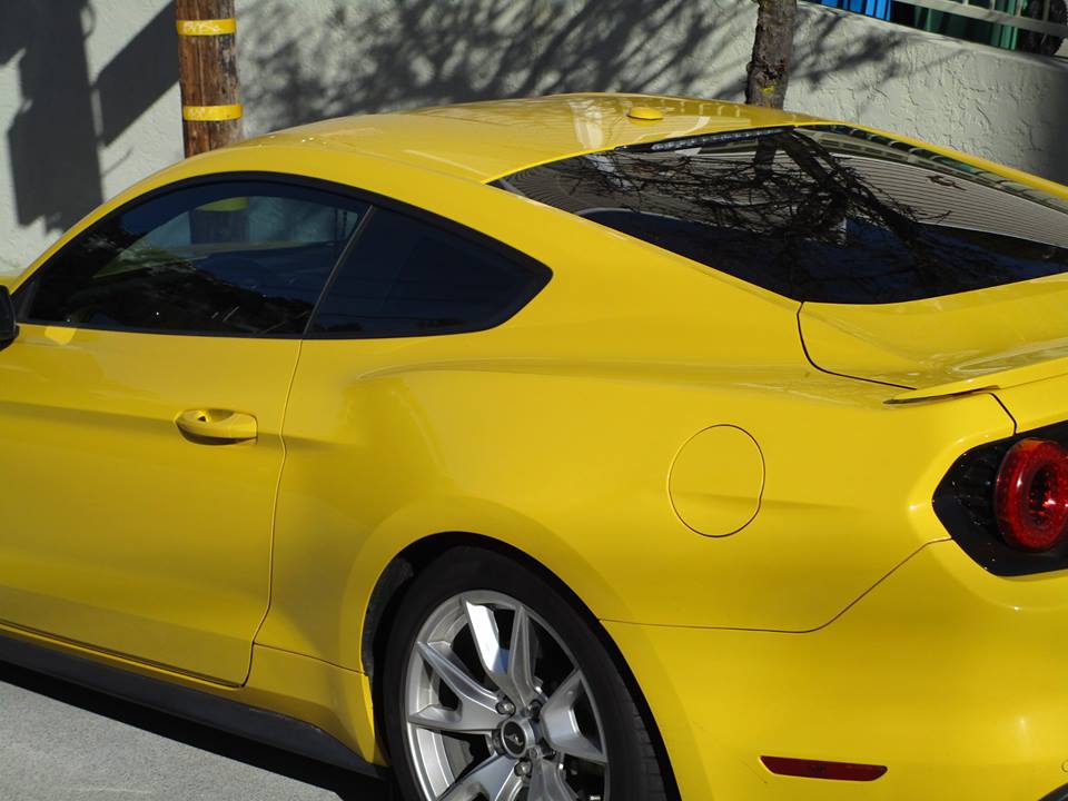 49748445_10217888474509821_6048285878097281024_n