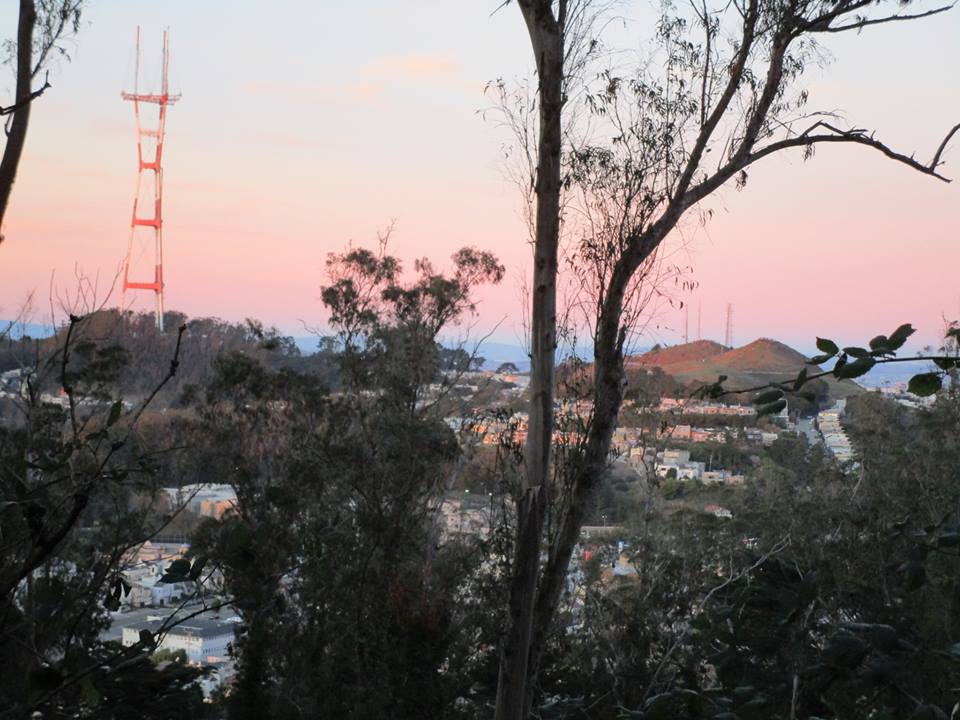 49787392_10217888468549672_6426105234774294528_n