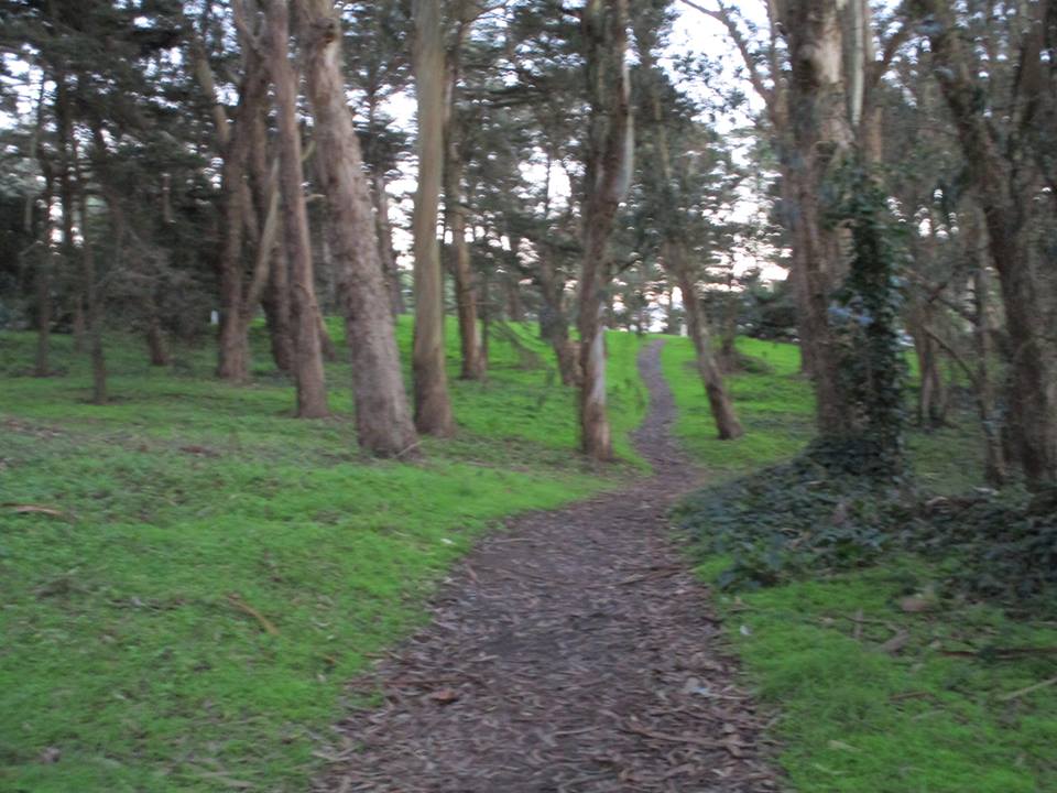 49937694_10217888544311566_5351618607610593280_n