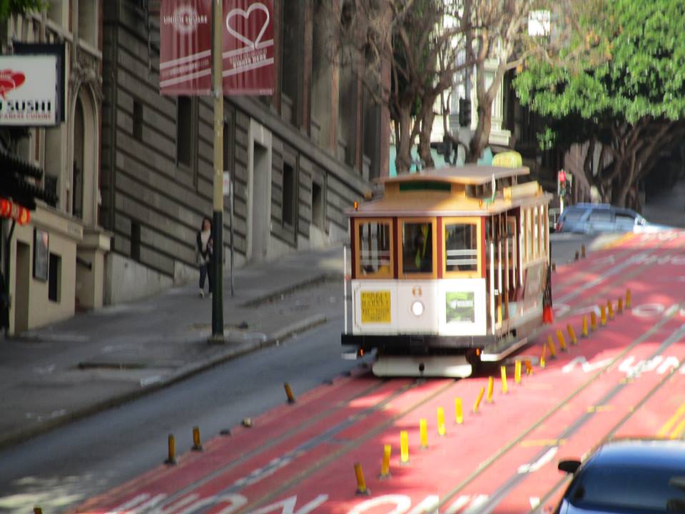 50423307_10217991407243075_2823388741635145728_n