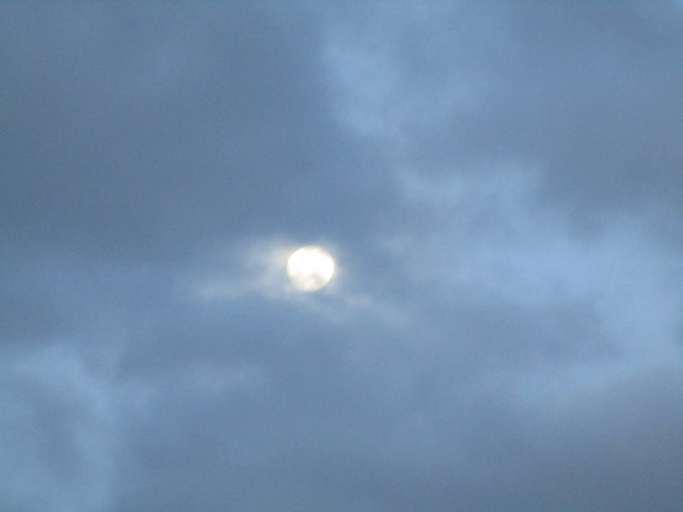 50439930_10217991444924017_8887611267682926592_n