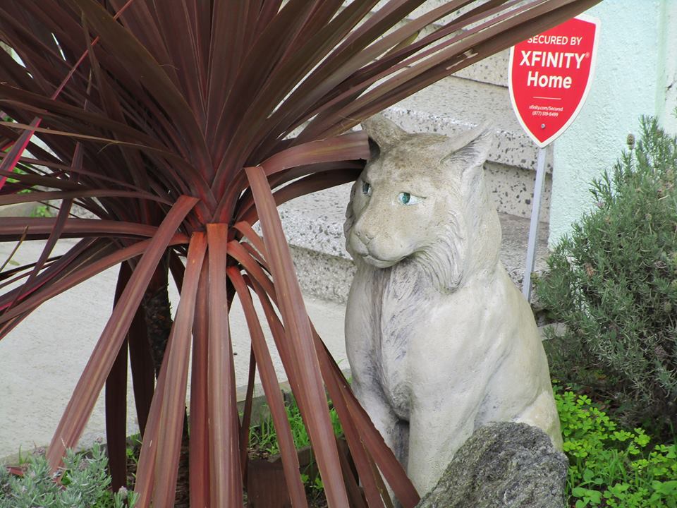 50485440_10217991425403529_4612769260719046656_n