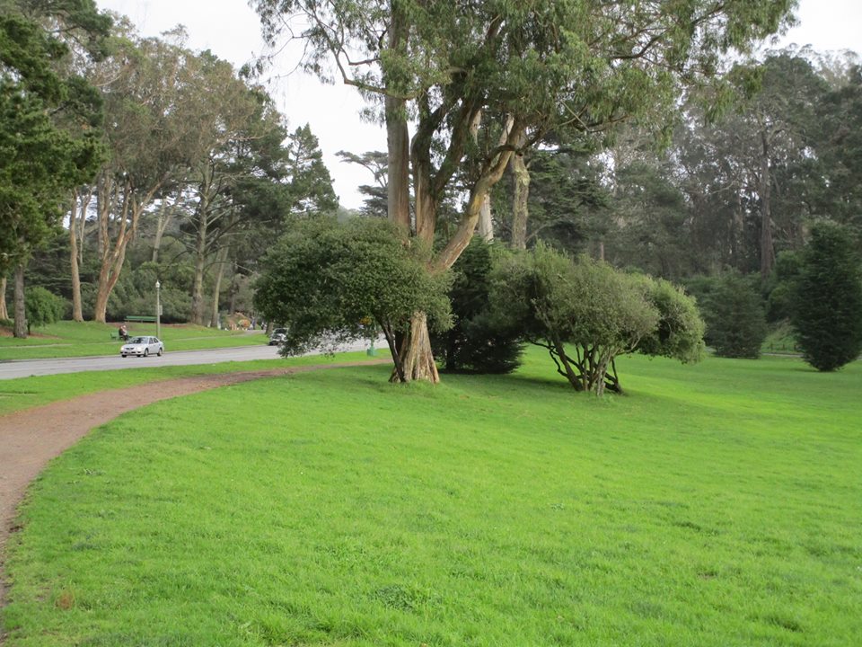 50528981_10217991442603959_1931746787886891008_n