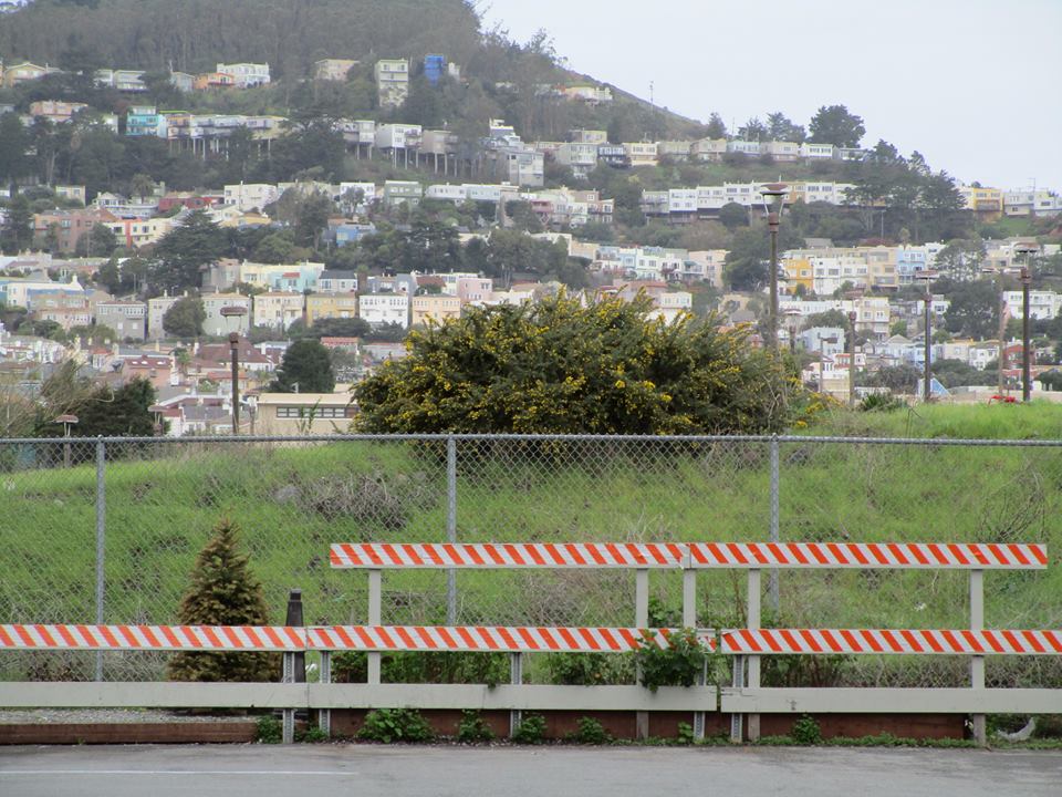 50793981_10217991433763738_5437741098556456960_n