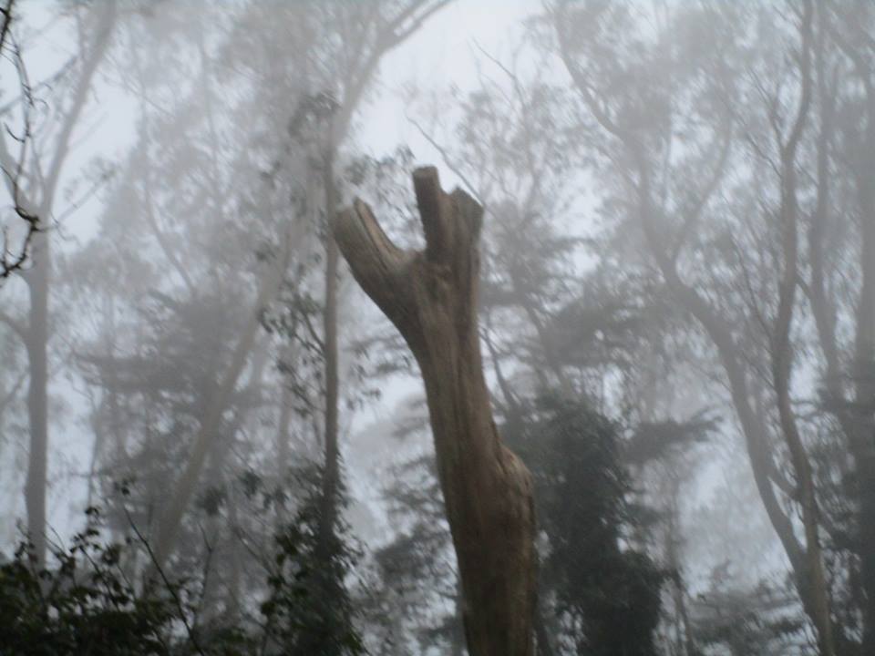 51036529_10218069247069022_5501214710827057152_n