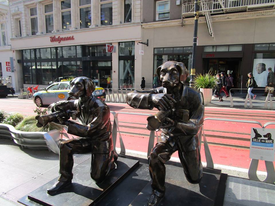 51202449_10217991402802964_4283793994414030848_n