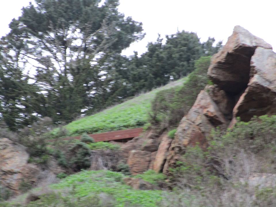 51132420_10218069249829091_3340233123077029888_n