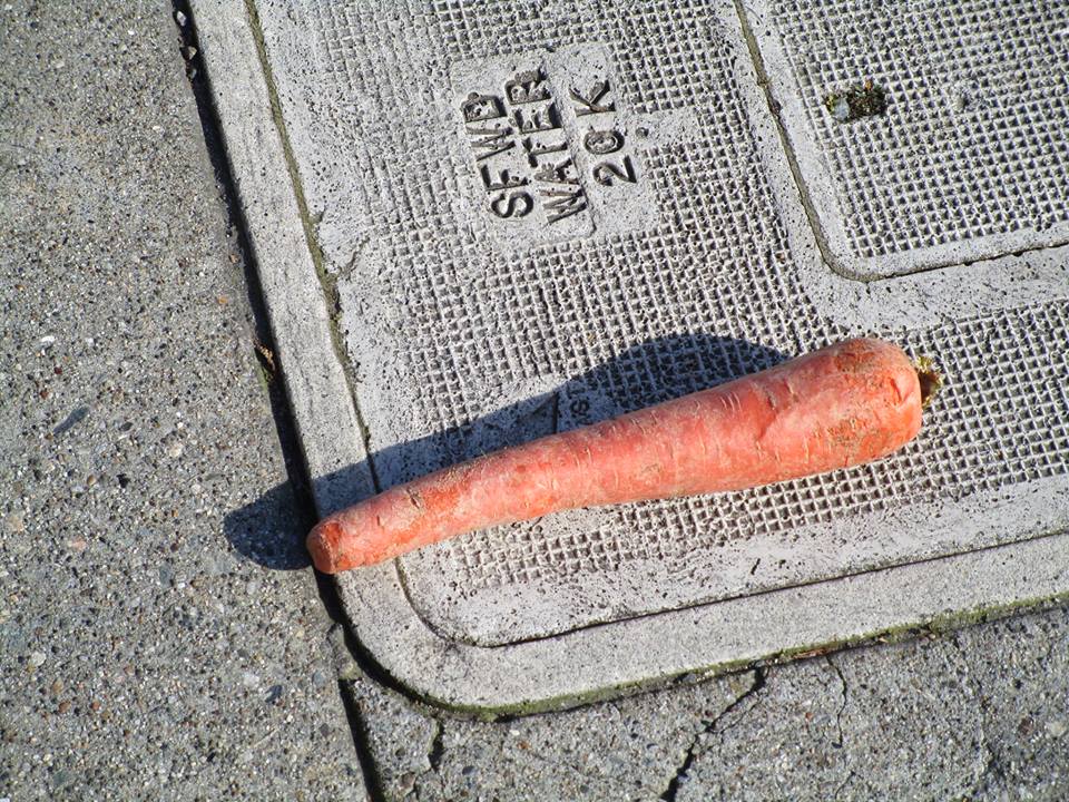 52840242_10218275768831937_8841571382933323776_n