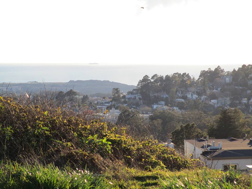 52846868_10218275759471703_2463826388990296064_n