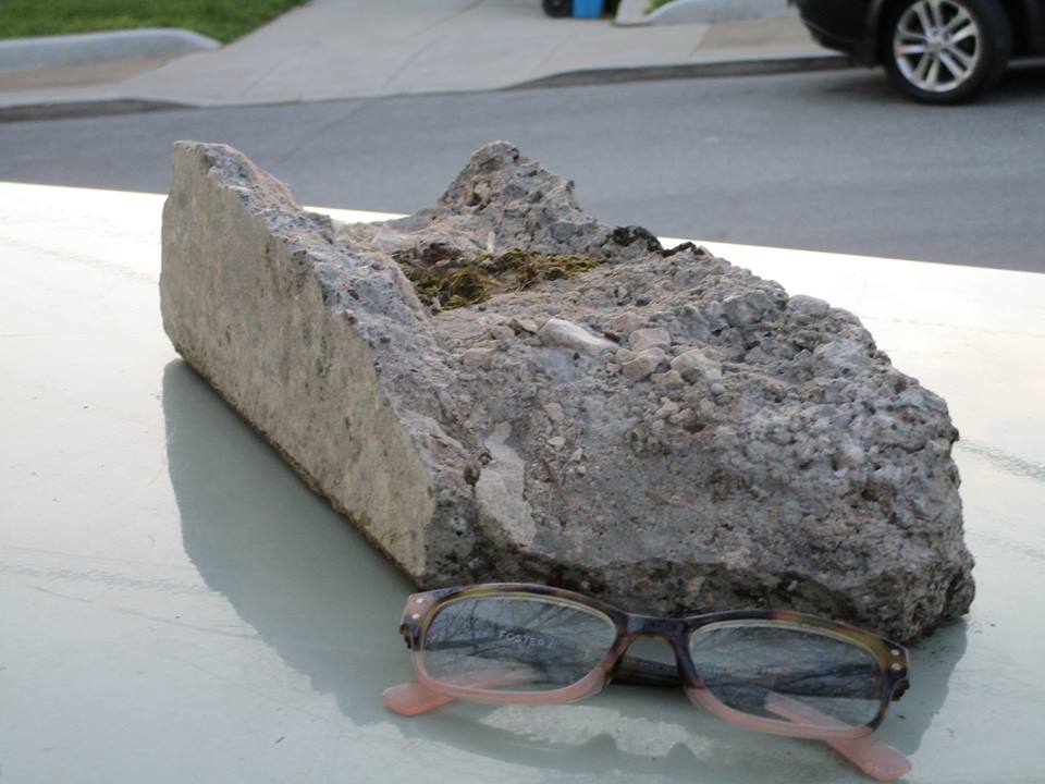 53201026_10218275768071918_2942963122236817408_n